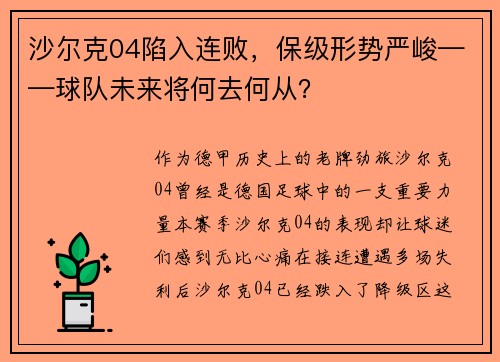沙尔克04陷入连败，保级形势严峻——球队未来将何去何从？
